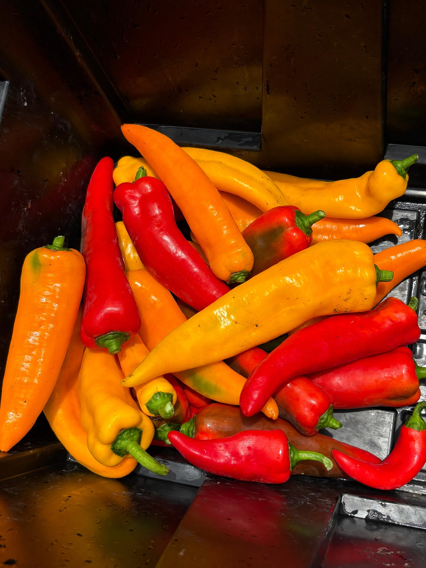 Sweet Italian Peppers (10oz)