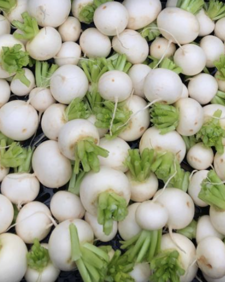 Salad Turnips (12oz)