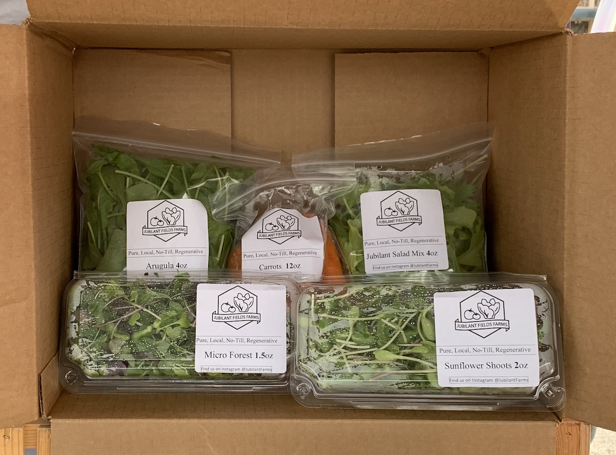 The Jubilant Salad Subscription