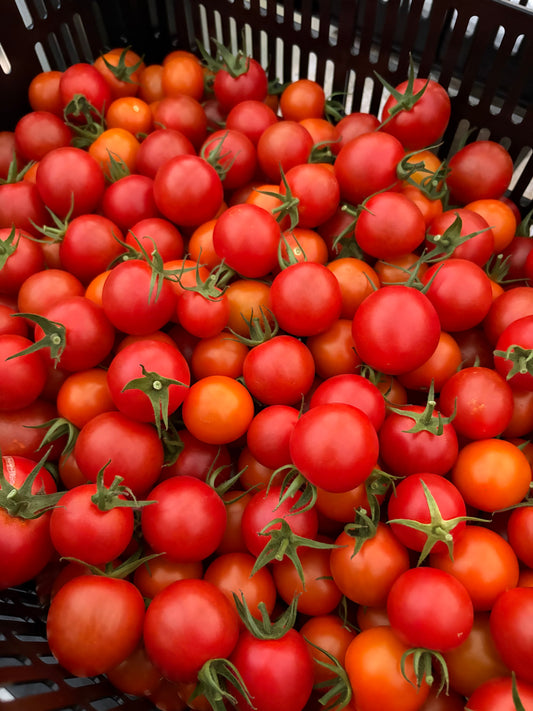 Saladette Tomatoes - 12oz box