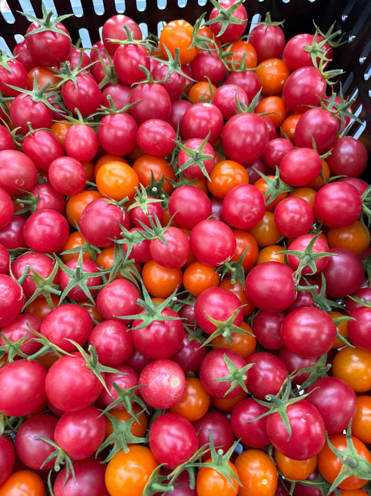Cherry Tomatoes - 10oz box