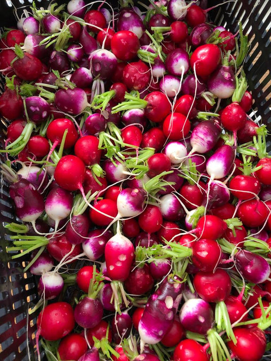 Radical Radishes (12oz)