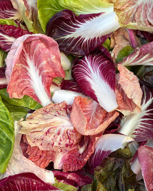 Radicchio Mix (5oz)