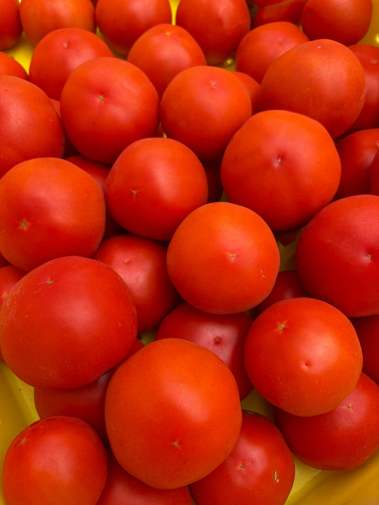 Red Tomatoes (1lb)
