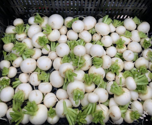 Salad Turnips (12oz)